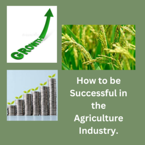 How to be Successful in the Hydroponic Agriculture Industry.