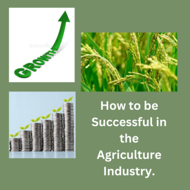 How to be Successful in the Agriculture Industry.