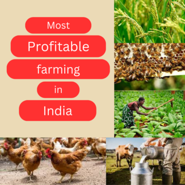 Most profitable Farming in India.