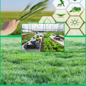 How to be Successful in the Hydroponic Agriculture Industry.