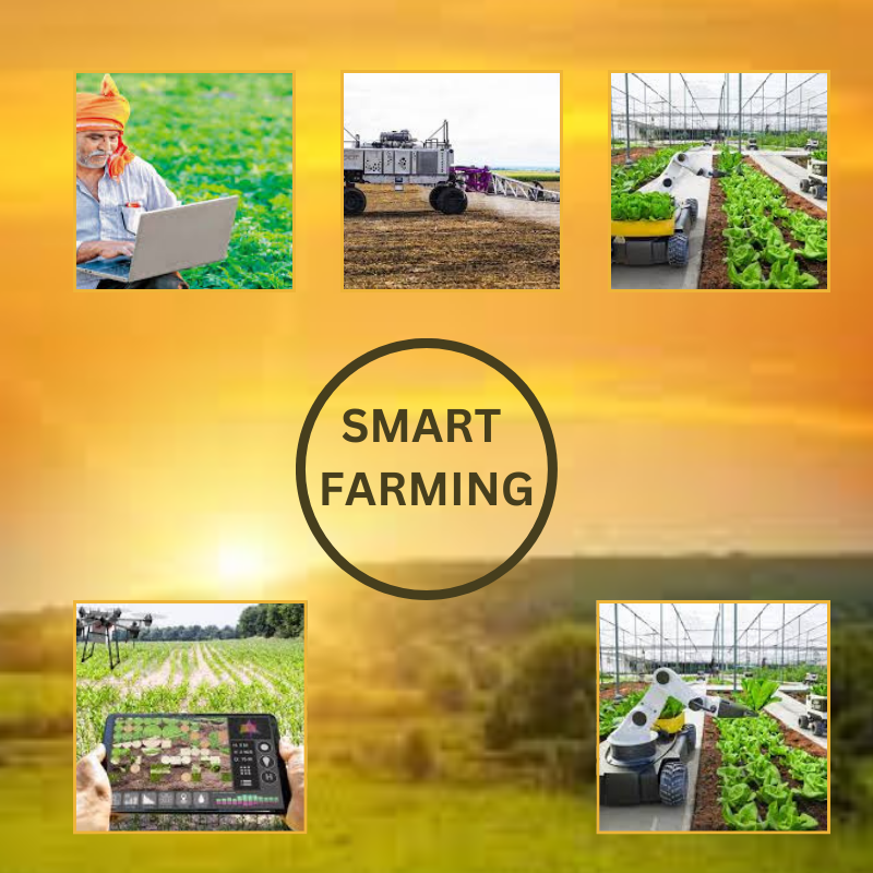 digital farming in India.