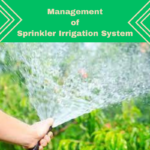 water management in irrigation