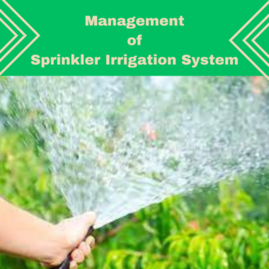 Water Management with Sprinkler Irrigation.