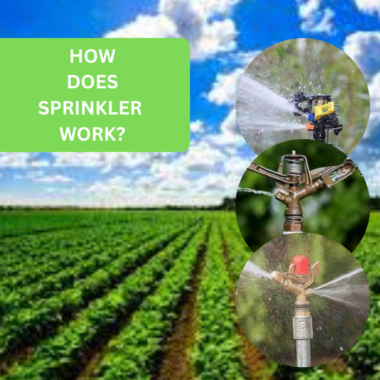 How Does Sprinkler Irrigation Work in sustainable agriculture.